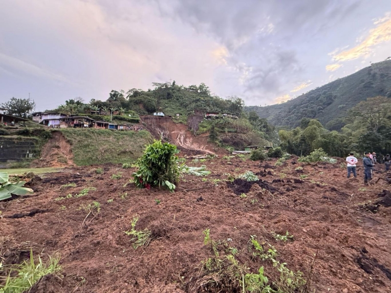 Área de café afetada pelo terremoto na Colômbia