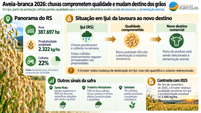 Aveia-branca 2026_ qualidade em alerta