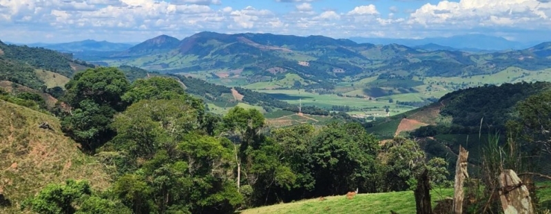 Bacias Hidrográficas