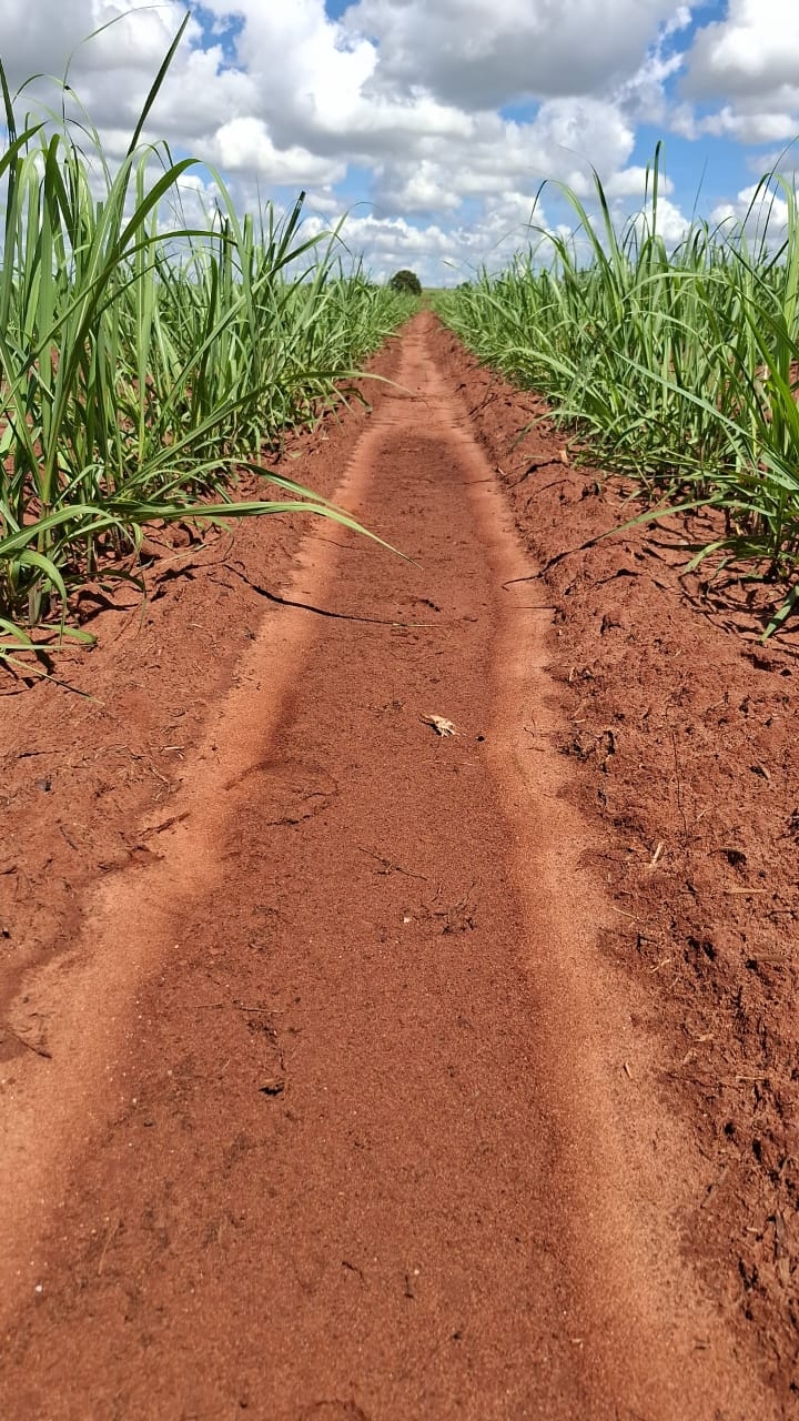 BASF_ Herbicida Prowl (1)