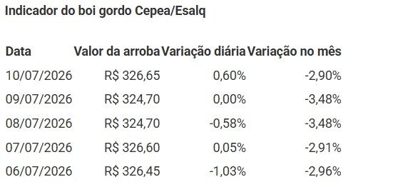 BOI CEPEA