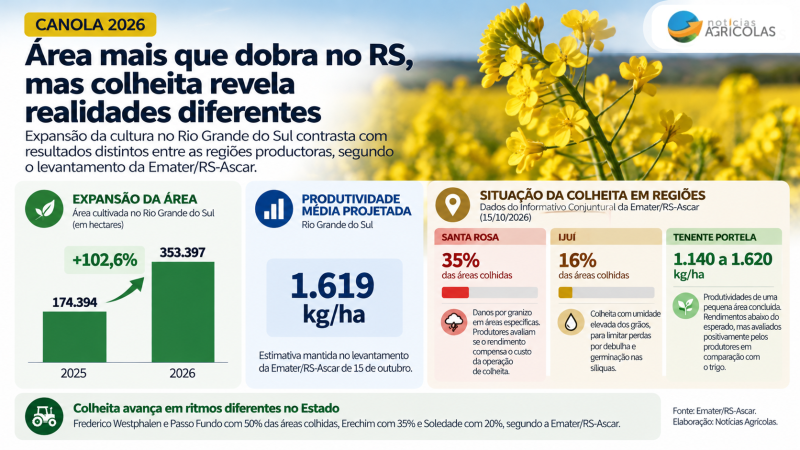 canola_2026_infografico_area_e_colheita_16x9