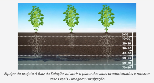 Captura de tela 2025-05-06 091422