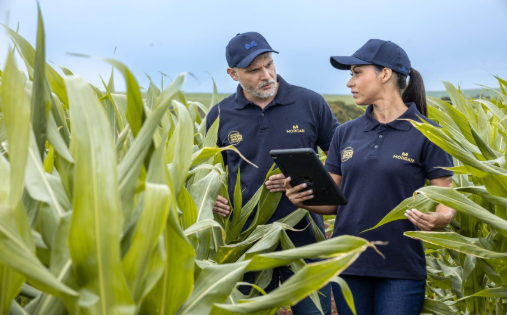 Captura de tela 2025-11-03 083511