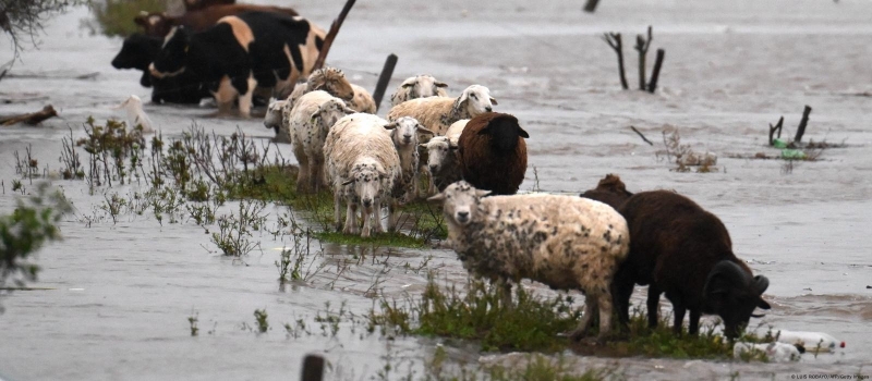 Cheias nas Argentina - Maio 2025 (6)