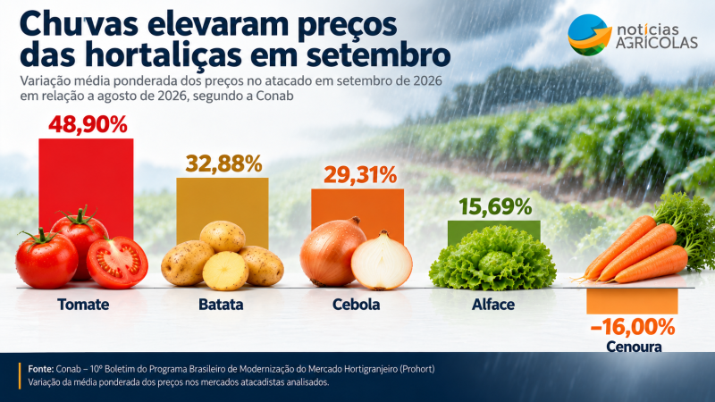 Chuvas elevam preços das hortaliças