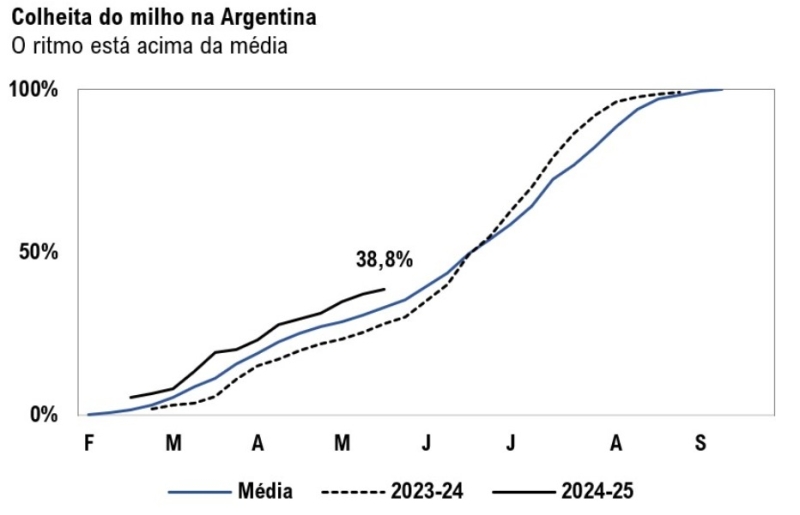Colheita Argentina (1)