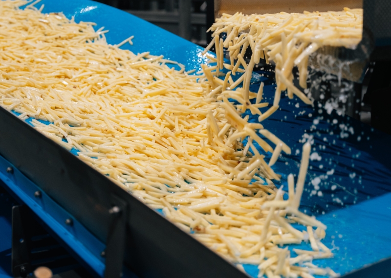 Copia de DAYIJOURNALISTTOUR-ByRITVU-10