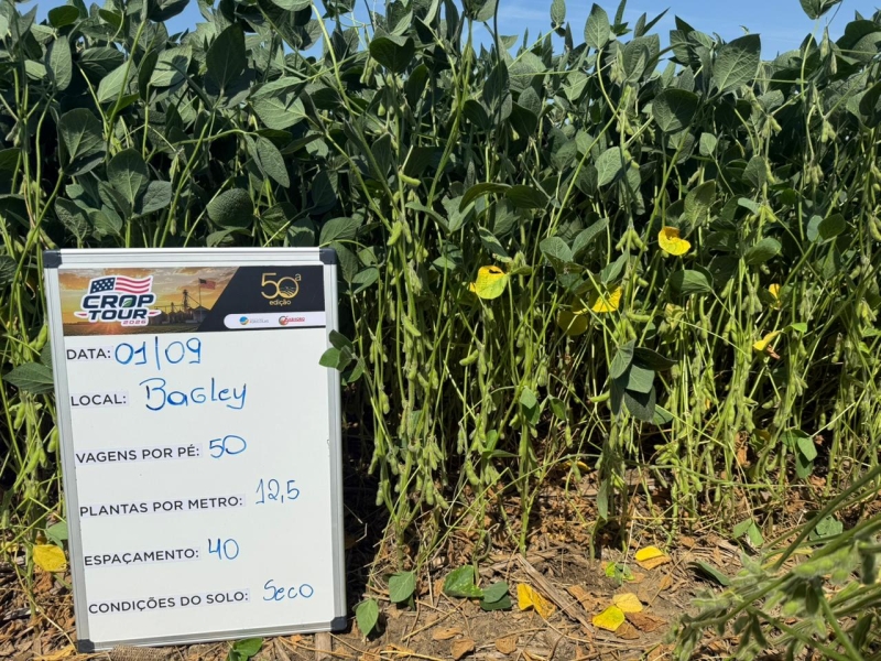 CT 2026 - Bagley-IA (1)