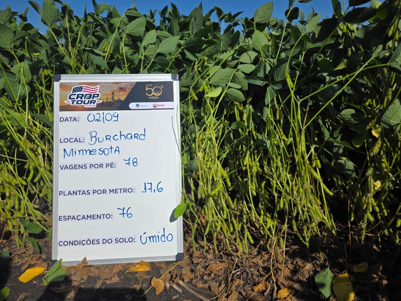 CT 2026 - Burchard-MN (1)