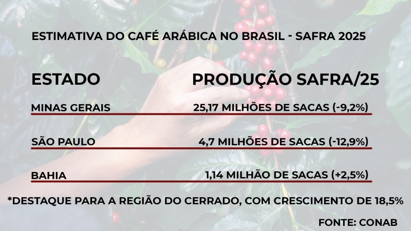 dados estados arábica