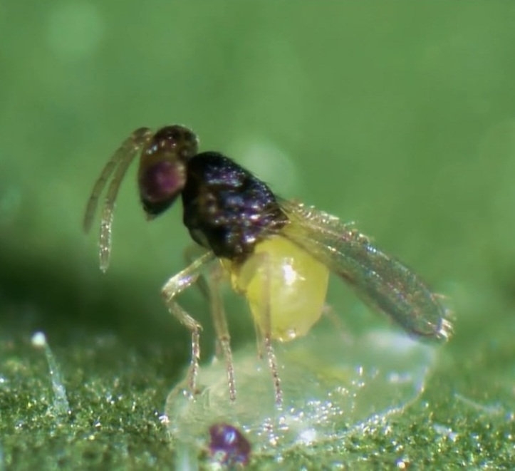 e3004b_13a34cdaabdd4038964ba853e74ae840~mv2