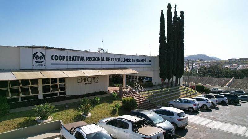 Estudo Cooxupé (1)