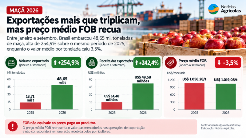 Exportações de Maçã Disparam em 2026