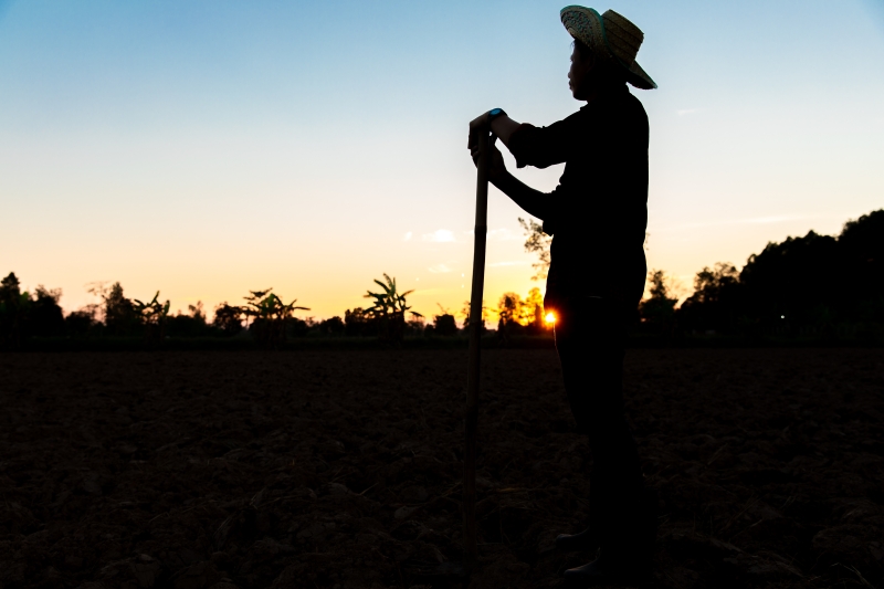farmer-working-on-field-at-sunset-outdoor-2026-01-05-06-00-32-utc