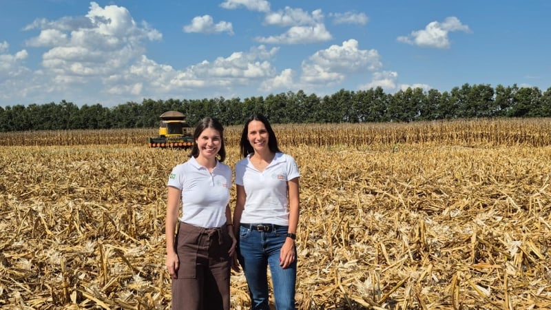 Fazenda Estância - Bayer (1)