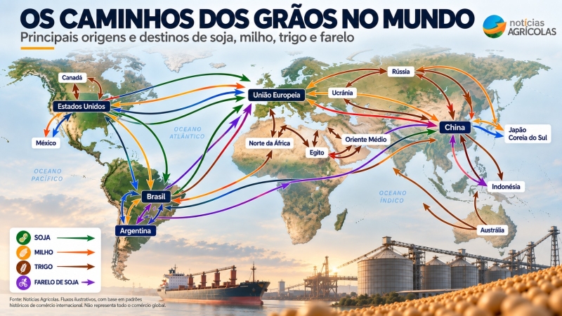 Fluxo grãos