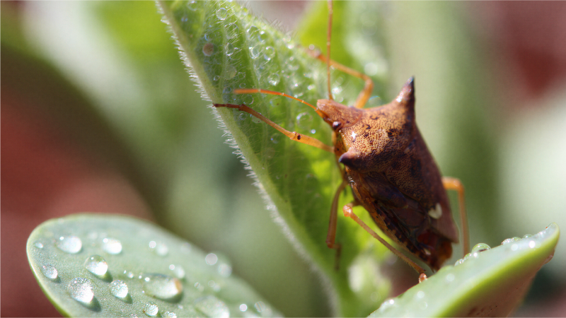 Foto Principal- 1920x1080px