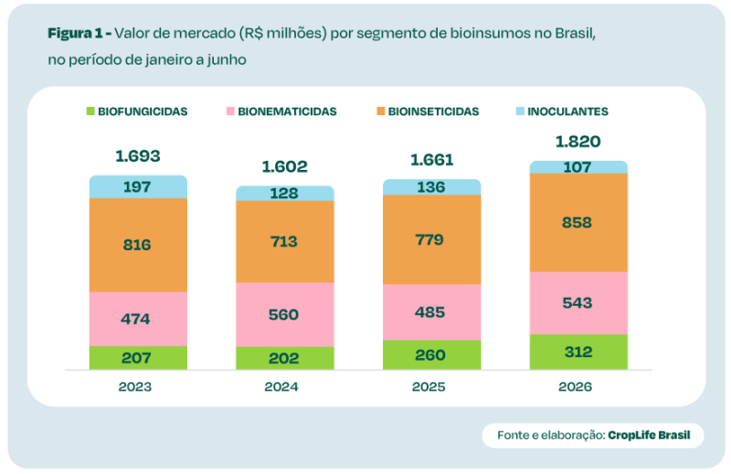 Gráfico 1 (2)