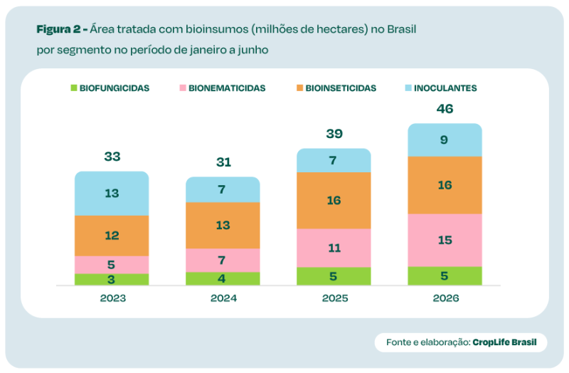 Gráfico 2 (2)