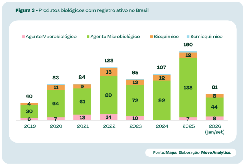 Gráfico 3 (2)