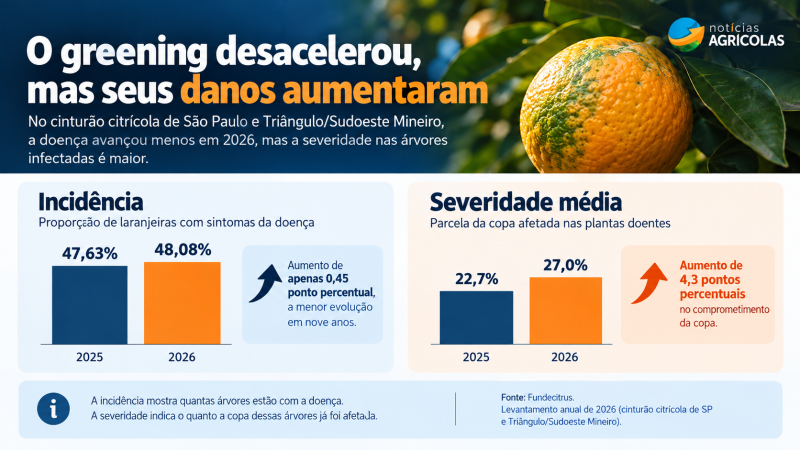 Greening desacelera, mas danos aumentam