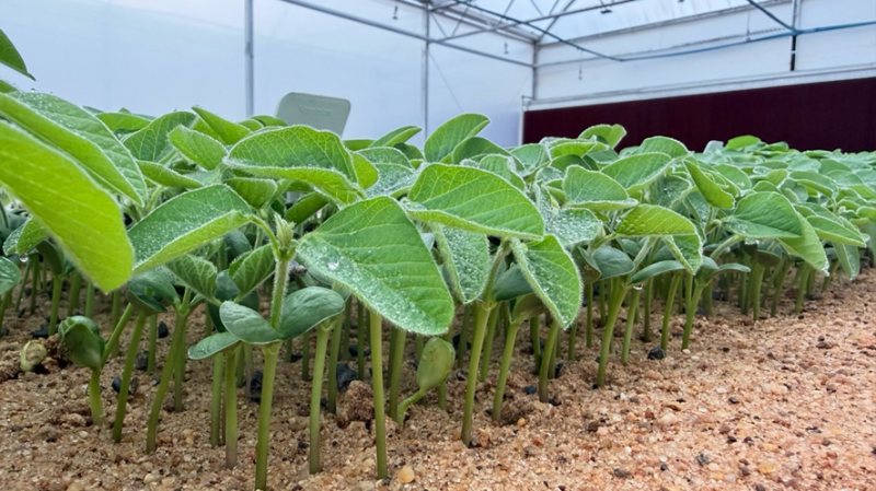 imagem_2025-11-03_164150134