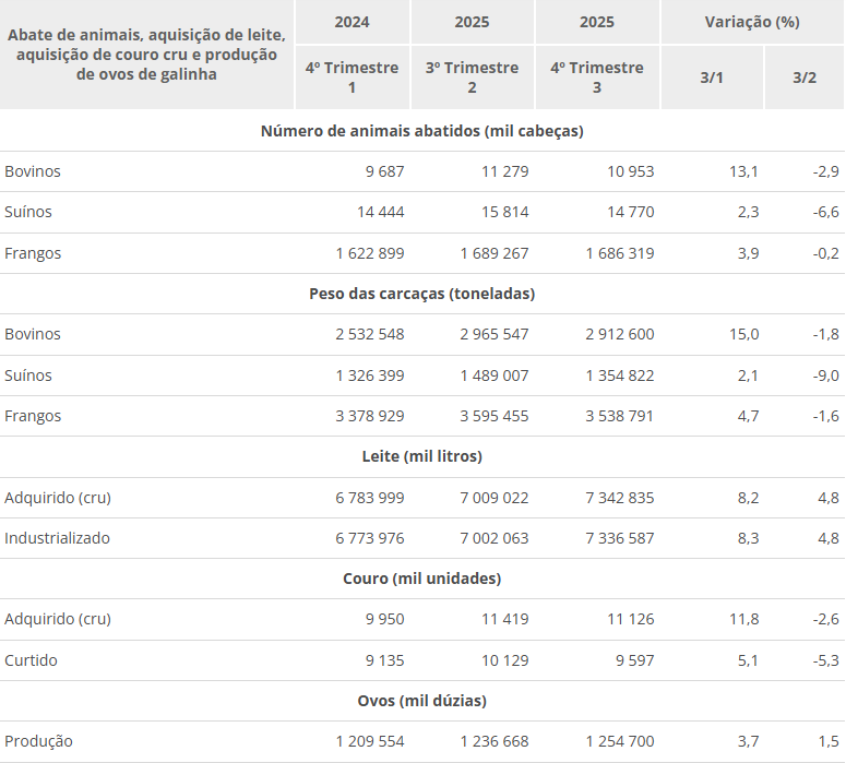imagem_2026-02-13_110312391