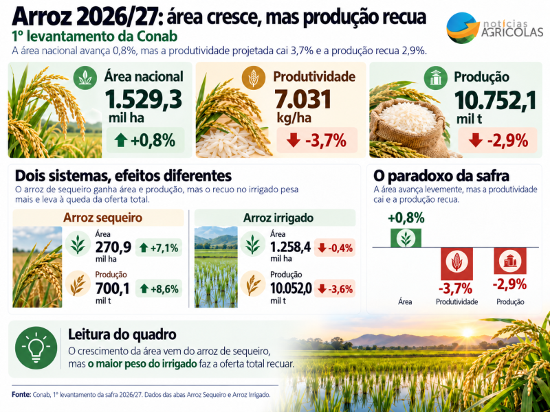 Imagem do ChatGPT 15 de out. de 2026, 11_23_28