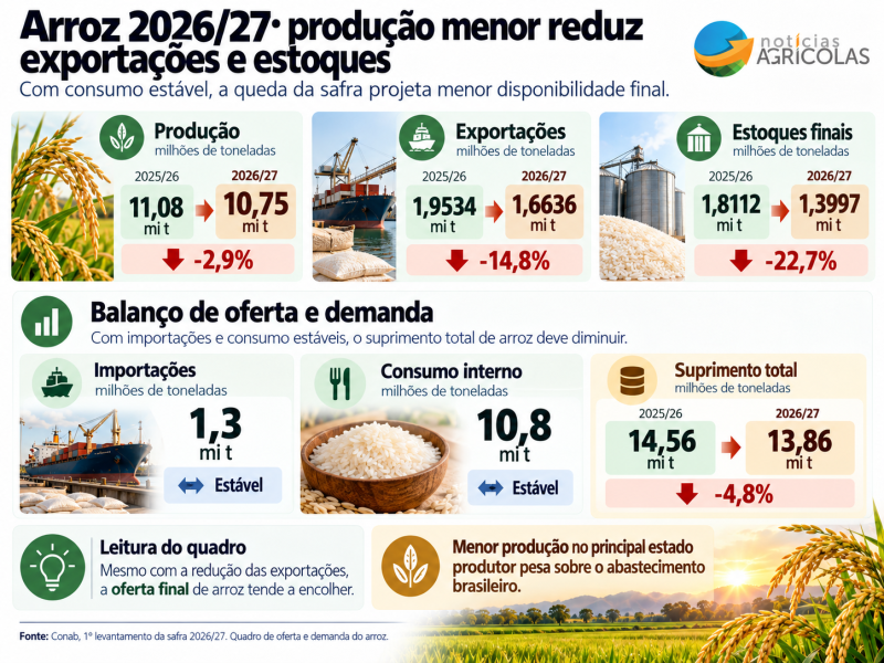 Imagem do ChatGPT 15 de out. de 2026, 11_23_49