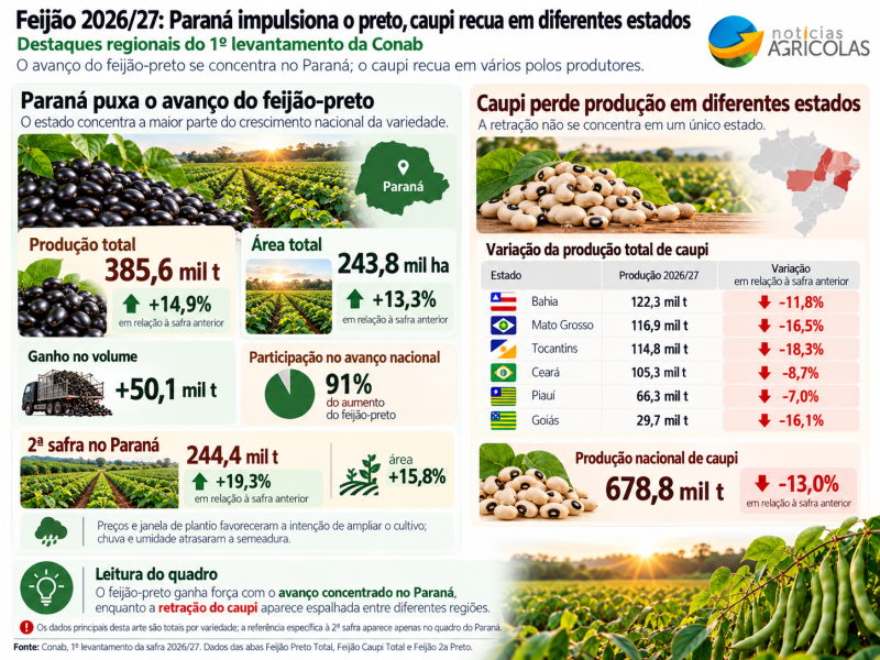 Imagem do ChatGPT 15 de out. de 2026, 12_12_15-2