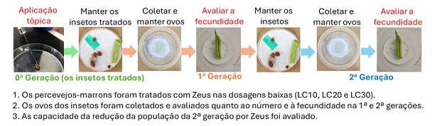 Imagens
