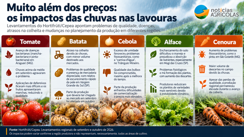 Impactos das chuvas nas lavouras