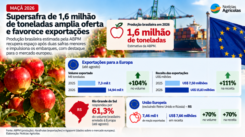 Infográfico da Supersafra de Maçã 2026