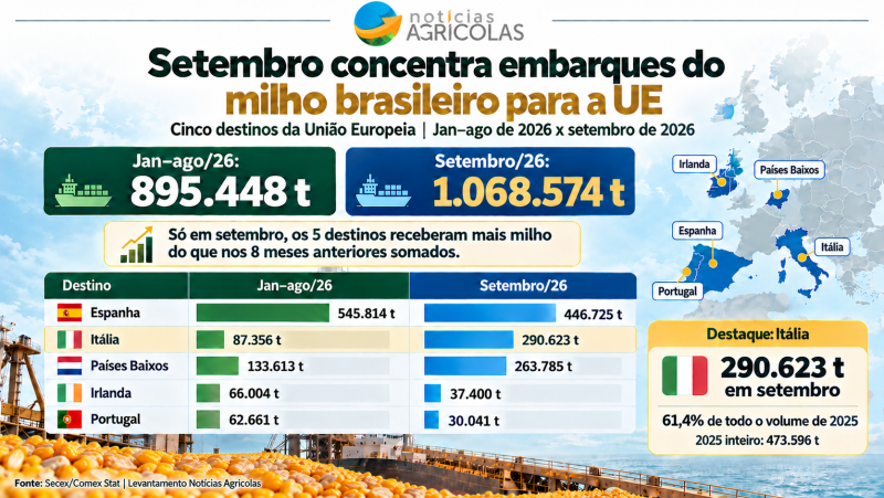 Infográfico de exportações de milho brasileiro