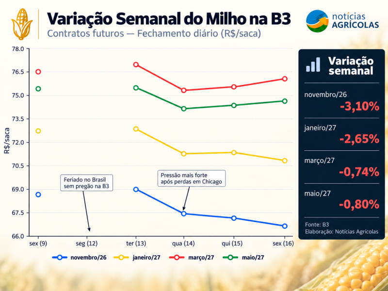 Infográfico Semanal do Milho na B3
