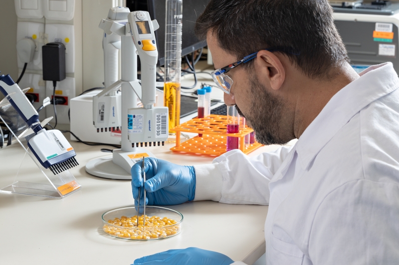 LongPing-HighTech-por-GrupoLuz-153