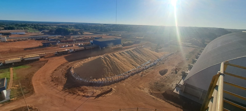 Milho a céu aberto em MT - Julho 2025 (1)
