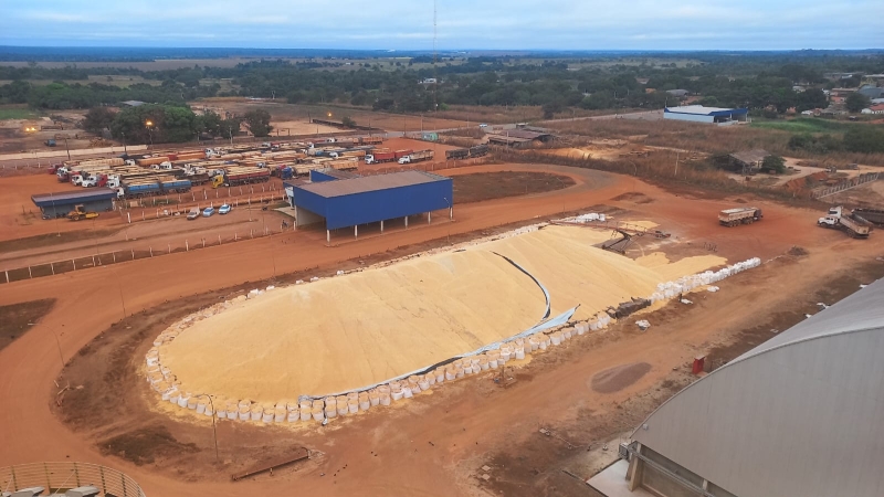Milho a céu aberto em MT - Julho 2025 (2)