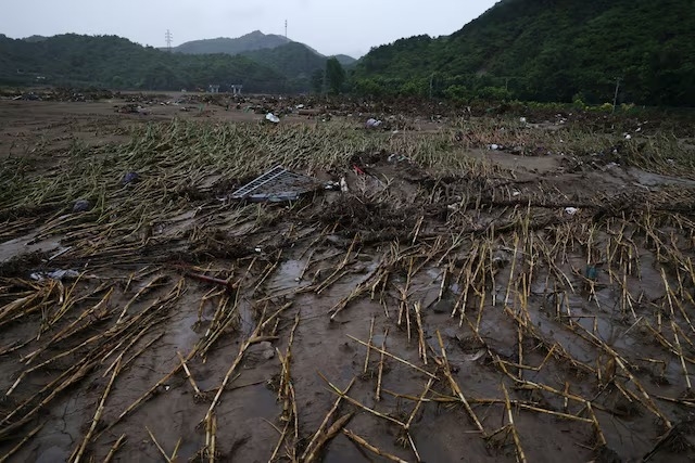 Milho destruído pelas chuvas na China