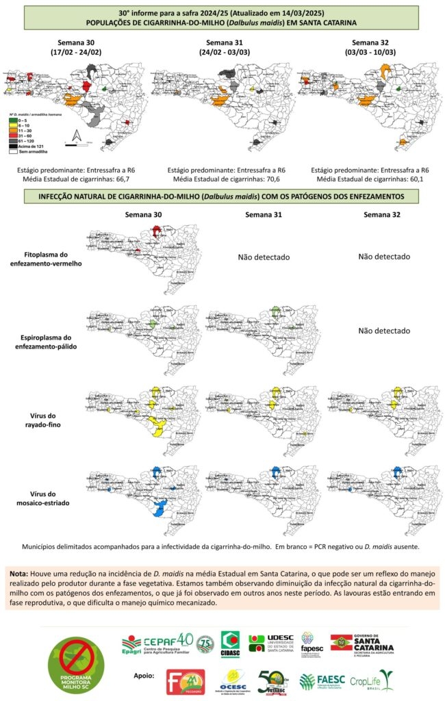 monitoramento cigarrinha sc