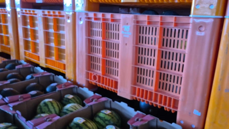 Novo paclink de melancias