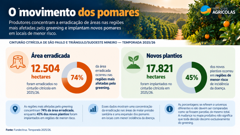 O movimento dos pomares cítricos