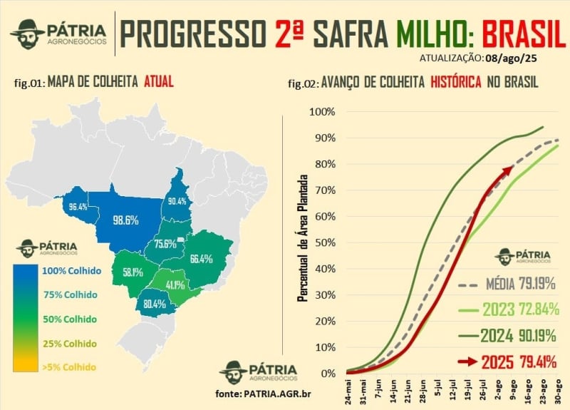 patria colheita de milho u33PA - Milho: Colheita chega a 79,41% da área no Brasil, relata Pátria Agronegócios