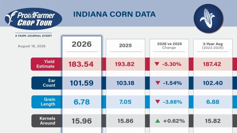 PF 2026 - Milho Indiana