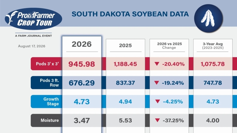 PF 2026 - Soja Dakota do Sul