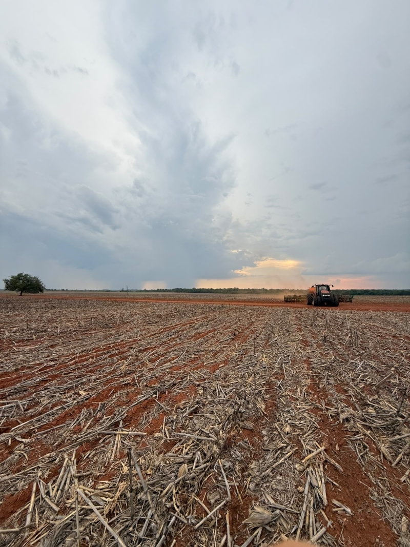 Plantio em Confresa-MT - Outubro 2026 (2)