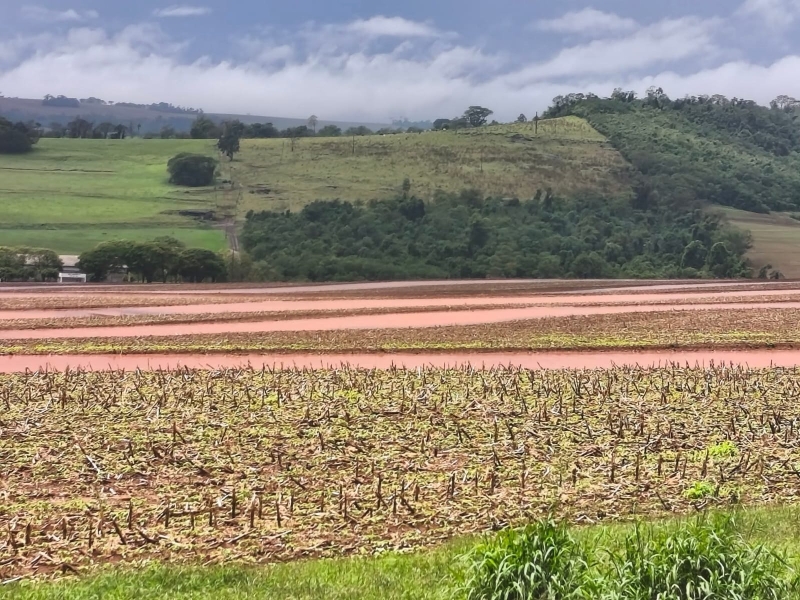 Plantio parado Paraná - Outubro 2026 (8)