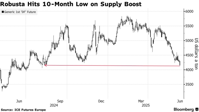 Preços Café Robusta - Bloomberg