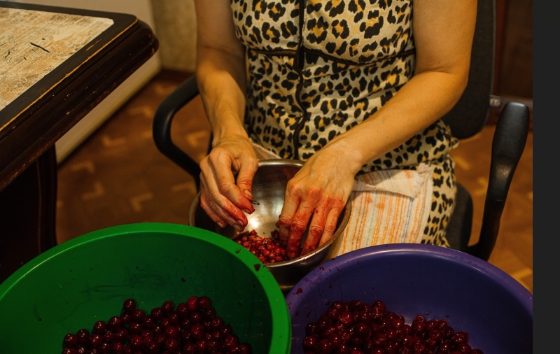 produção de vinho